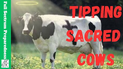 "Nice" Can Be Evil: Talk Of Bad Decisions Led Us To Tipping Sacred Cows