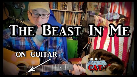 The Beast In Me on Guitar (with my cat)