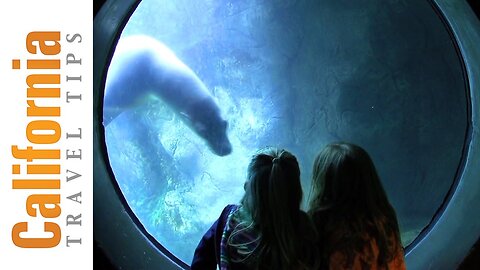 Aquarium of the Pacific Travel Guide - Long Beach | California Travel Tips