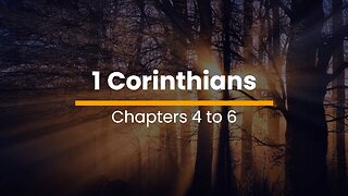 1 Corinthians 4, 5, & 6 - November 14 (Day 318)