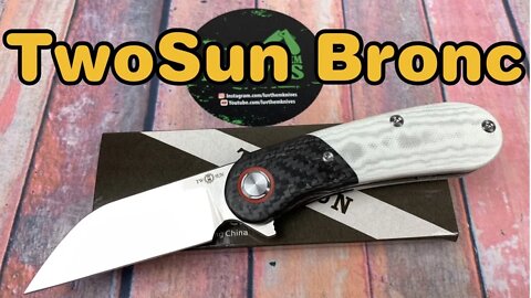 TwoSun TS204 Bronc /includes disassembly/ Tepe & Szymanski collaboration tag team triumph !!