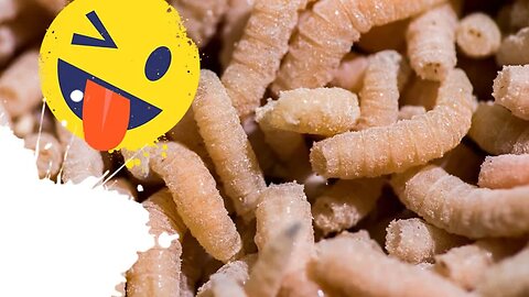 Maggots get squashed in fruit juice