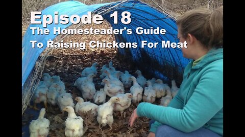 S1E18 The Homesteaders Guide To Raising Chickens For Meat