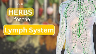 Ep. 20 Herbs for the Lymphatic System