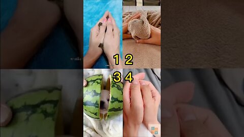 Pick Your Best? 😍 Tiktok Compilation 💘 Pinned your
