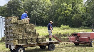 Bailing Square Hay Bails 🚜 #ChamberlinFamilyFarms #tractor #bailinghay #farming