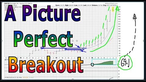 A Picture Perfect Breakout - #1231