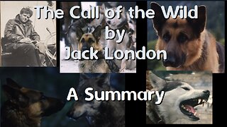 The Call of the Wild - A Summary