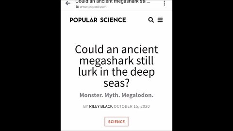 Could The Megalodon Still Lurk In The Deep Seas Paranormal News