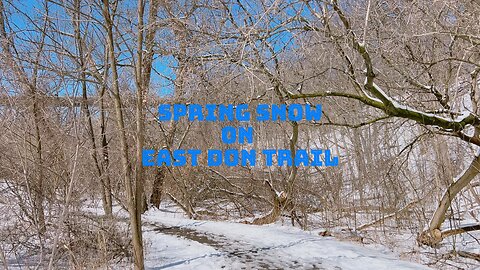 Spring Hike in Winter Wonderland | East Don Trail 5/5