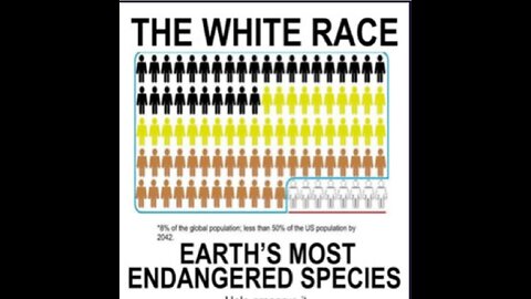 The Kalergi-Plan and White genocide