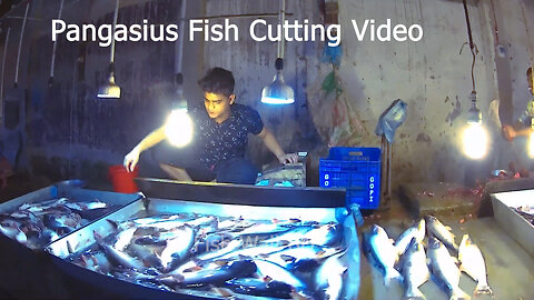 Pangasius Fish Cutting Skills Fish Cutting Market-Fish Cutting Video-Fish Wall BD