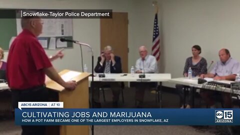 Marijuana farm creates job growth in Arizona town