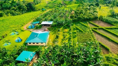 A Costa Rican Homesteader’s Dream! AquaCulture, Food Forest Kitchen, Exotic Fruit Jungles + More!