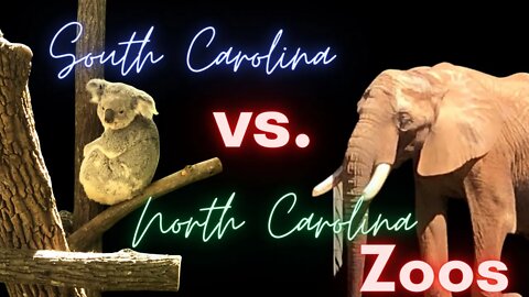 Should You Visit the North Carolina Zoo or Riverbanks Zoo and Botanical Garden?
