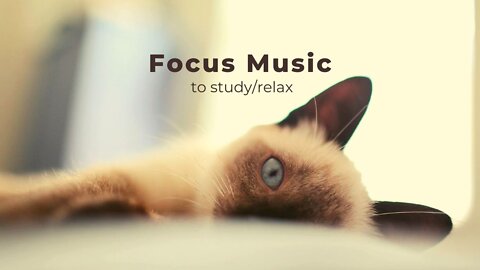 Relaxing Music, Work Music, Study Music, Focus Music || Lofi Hip Hop Music || Purrple Cat