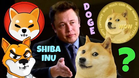 Shiba Inu Coin & Dogecoin ~ Elon Musk BIG Comment ⚠️