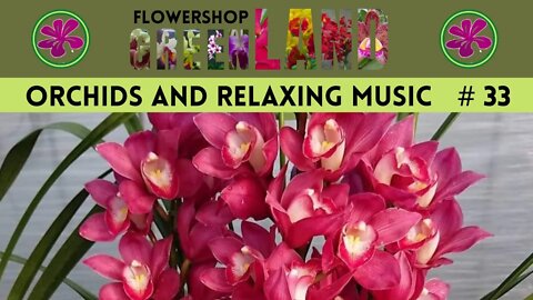 HEAVENLY MUSIC | 100 ORCHIDS TO THE SOUND OF RELAXING MUSIC | #33