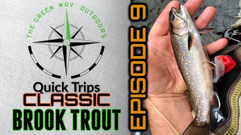 TGWO Quick Trips Classic - Spinner Brook Trout