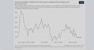 Dr. John Campbell - International Excess Deaths