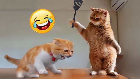 Funny Animal Videos 2023 😂 - Funniest Dogs And Cats Videos 😺😍