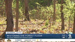 Restoring forest floors across the nation