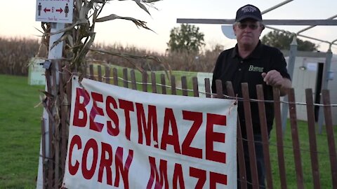 Check out Bestmaze Corn Maze in Williamston