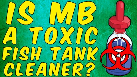 Is Methylene Blue a Toxic Fish Tank Cleaner?