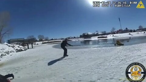 Woman, dogs pulled from icy pond in Brighton