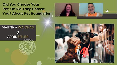 Did you choose your pet, or did they choose you? Exploring Pet Boundaries! 🐈 🐕 🐾