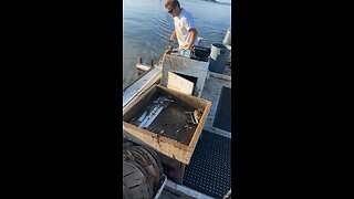 Crabbing the Chesapeake