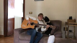 Dog gets happy when listening to a famous rock song
