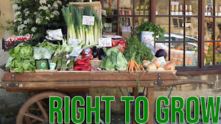 Right to Eat & Grow Food: Efforts to Protect in State Constitutions