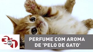 Planeta Madureira: Empresa lança perfume com aroma de 'pelo de gato'