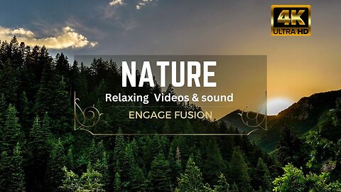 Nature Relaxation • Relaxing Music • 4k Video Ultra HD Engage Fusion #relaxing #forest