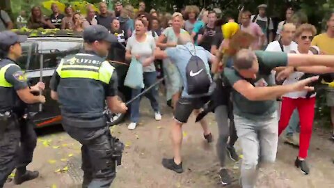 Police brutality in the Netherlands during a peaceful demonstration against the tyranny (sunday)