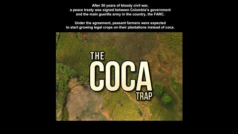 The Coca Trap / 2019 #Colombia