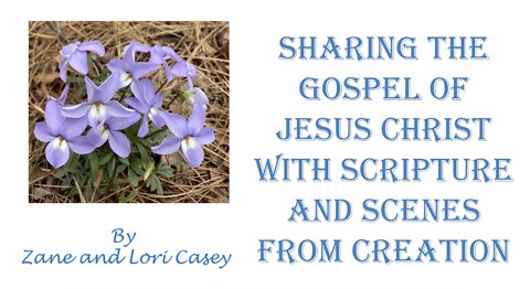 Scenes & Scripture