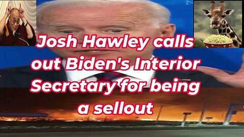 Josh Hawley calls out Biden's Interior Secretary for selling out Country