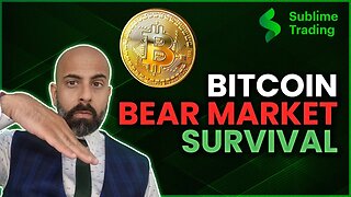 Bitcoin Bear Market Survival