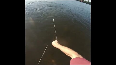 Cast net fishing