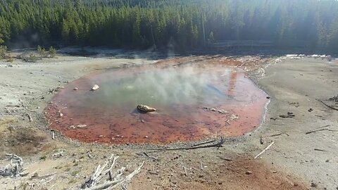 Yellowstone's Echinus Geyser