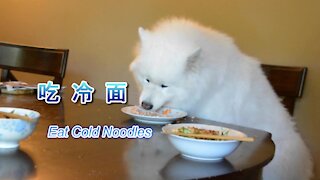 The cold noodles that make my dog crazy/Smiling Dog Senba