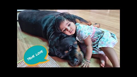 Made for each other | funny dog videos | the rott new video |