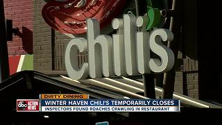 Dirty Dining: Chili's Grill & Bar shut down for live roaches on the cook's line in the kitchen