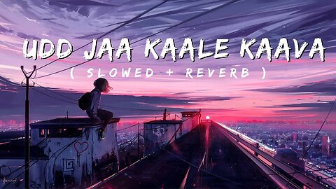 Udd Jaa Kaale Kaava ( Slowed and Reverb ) Lofi || Gadar 2 || Sunny Deol , Ammesha ||