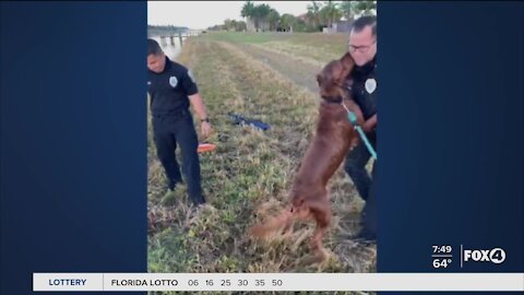 Police help save dogs life in Port St. Lucie