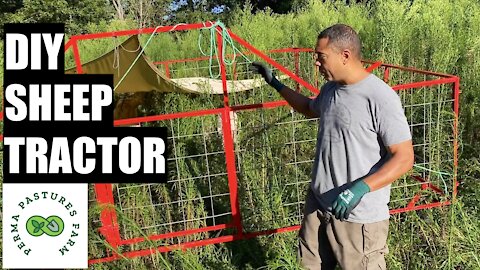 DIY Sheep Tractor Review