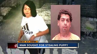 Florida man dressed up as woman, used stolen credit card, license to buy puppy, police say