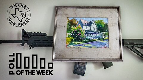 REUPLOAD - TGV Poll Question of the Week #15: Have you ever hidden a gun purchase from your partner?